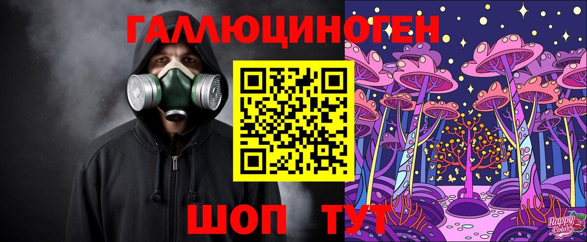 Галлюциногенные грибы Psilocybe Зима