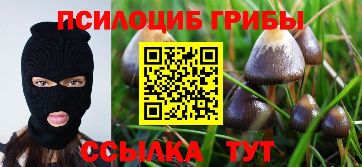 Зима  даркнет сайт  Вход с VPN  Галлюциногенные грибы Psilocybine cubensis 