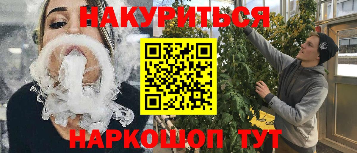 Конопля конопля  Канабис сатива  Вход с VPN  МАРИХУАНА Amnesia  Конопля план  Зима 